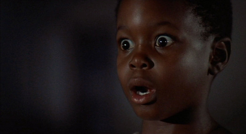 nan kung fu movie DVD Shaw Brothers martial arts film Hong Kong cinema