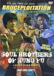 Soul Brothers Of Kung Fu a.k.a. kung fu movie DVD Shaw Brothers martial arts film Hong Kong cinema