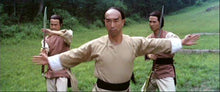 "Warriors Two" a.k.a. (Zan Xian Sheng Yu Zhao Qian Hua) (1978)