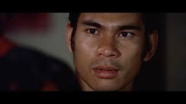 nan kung fu movie DVD Shaw Brothers martial arts film Hong Kong cinema