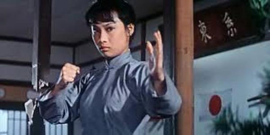 nan kung fu movie DVD Shaw Brothers martial arts film Hong Kong cinema