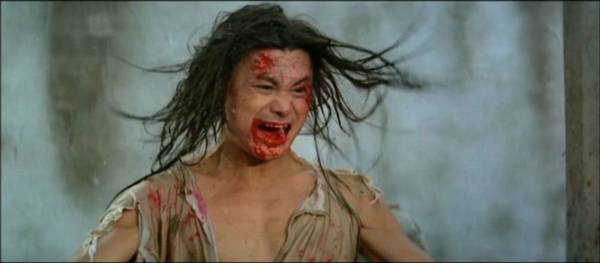 nan kung fu movie DVD Shaw Brothers martial arts film Hong Kong cinema